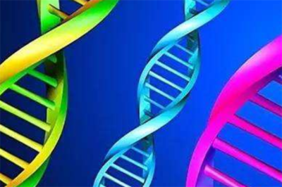 中科基因 生物工程技術開發(fā)的領航者